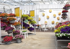 At Ball Horticultural.